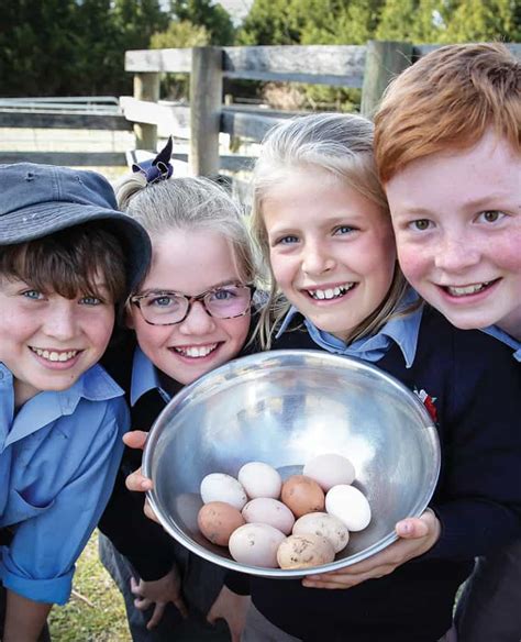 tudor house school moss vale|the kings school tudor house.